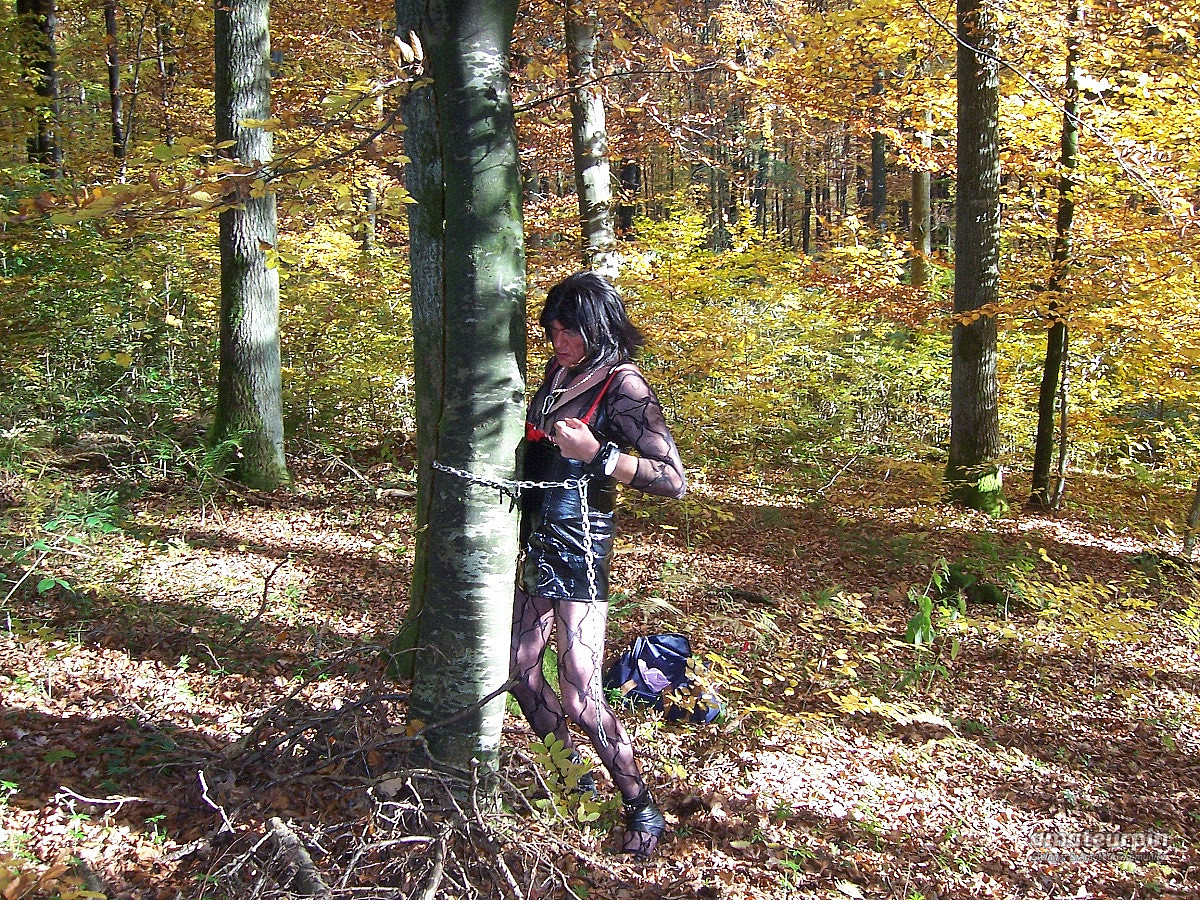 im wald und auf dem rastplatz Galeriebild