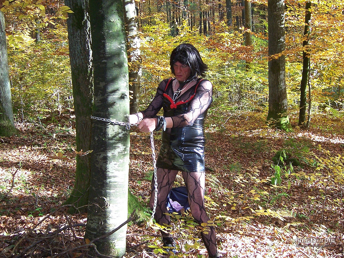 im wald und auf dem rastplatz Galeriebild