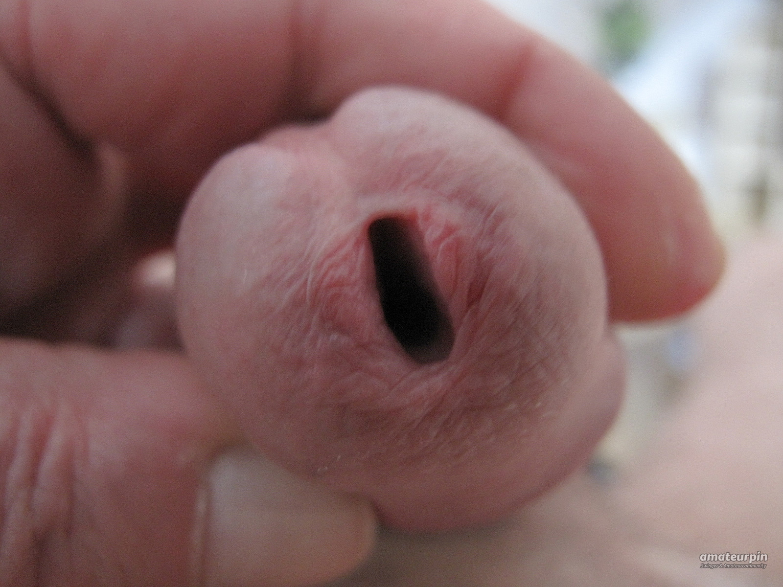 my cock gallery image