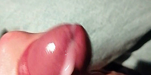 Schwanz First Thumb Image