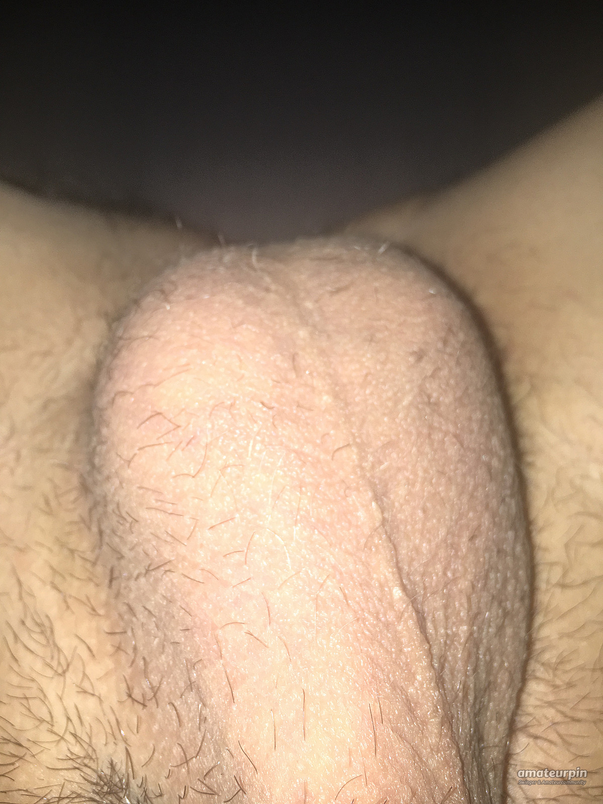 my cock gallery image