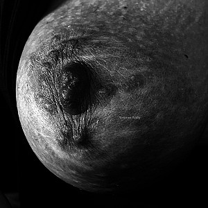 Dark Erotic 1 -Schwarzweiß Galeriebild