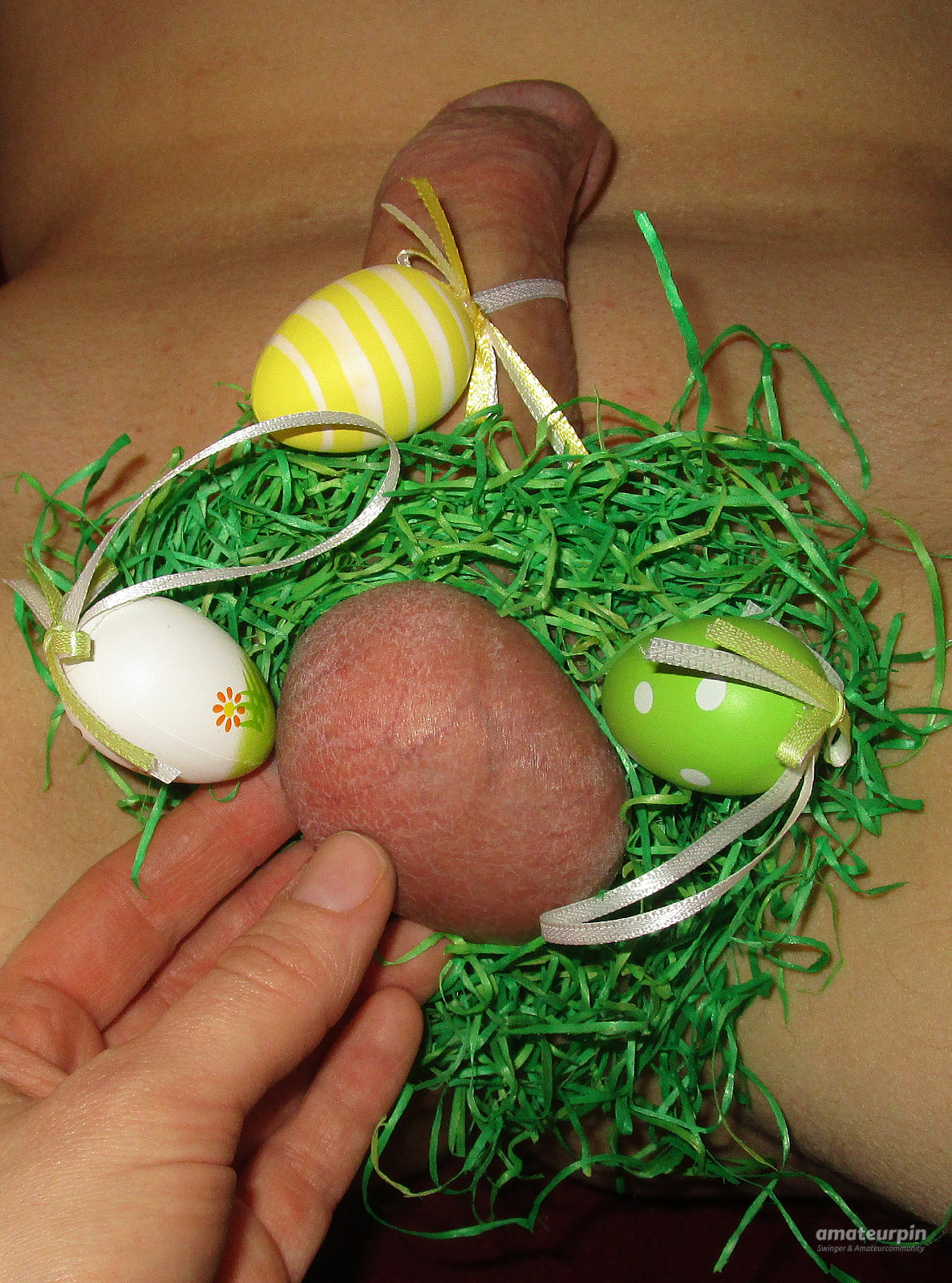 Ostern, es ist so weit Galeriebild