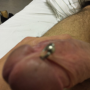 pierced cock gallery image