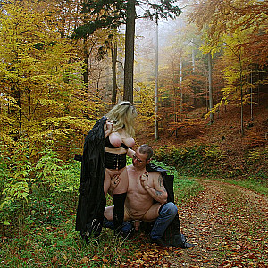 Der Herbst ist da ... Galeriebild