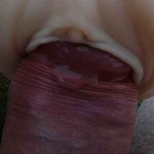 Fleshlight Fun gallery image