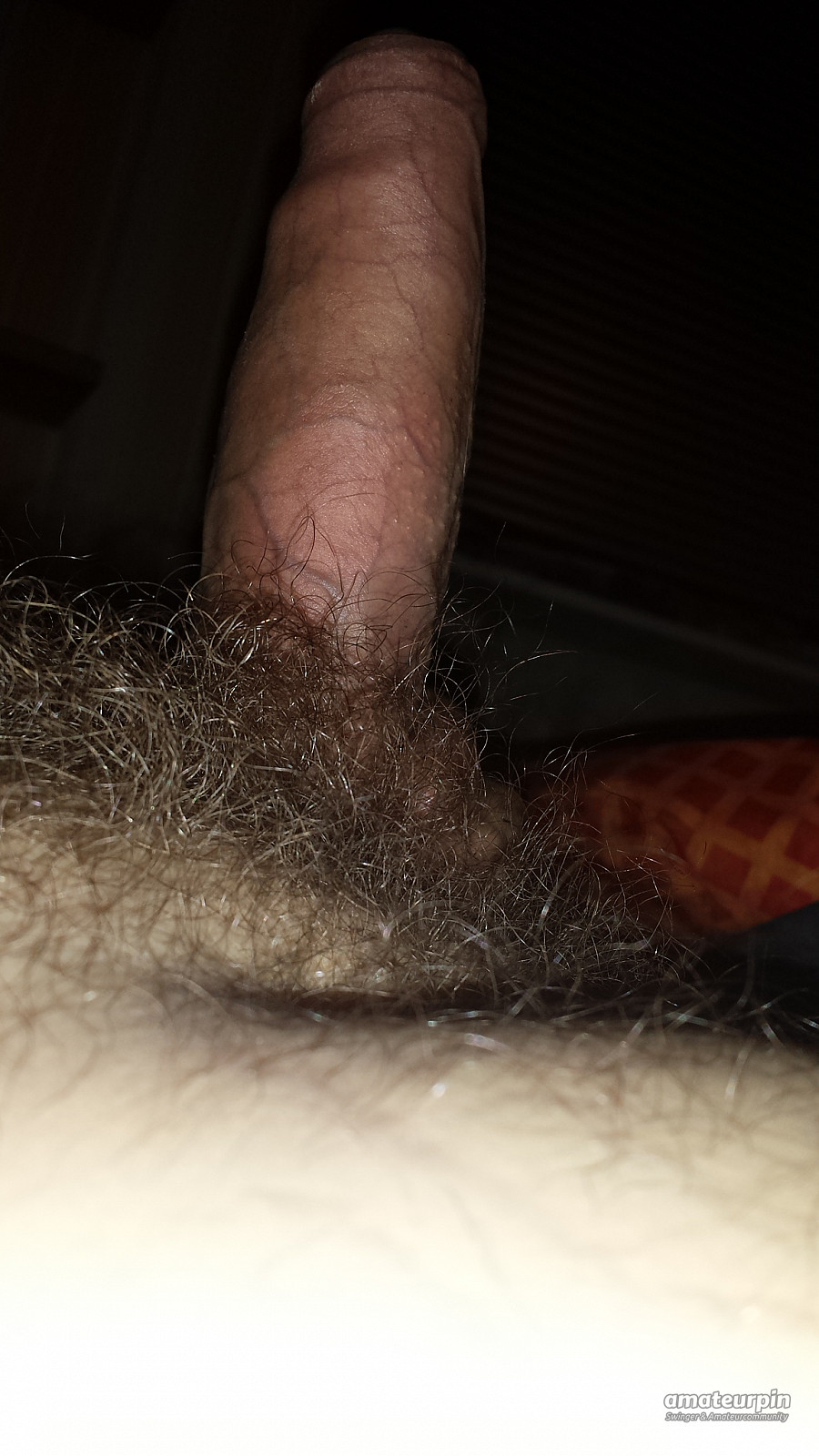 my hairy cock gallery image