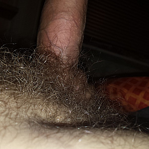 my hairy cock gallery image