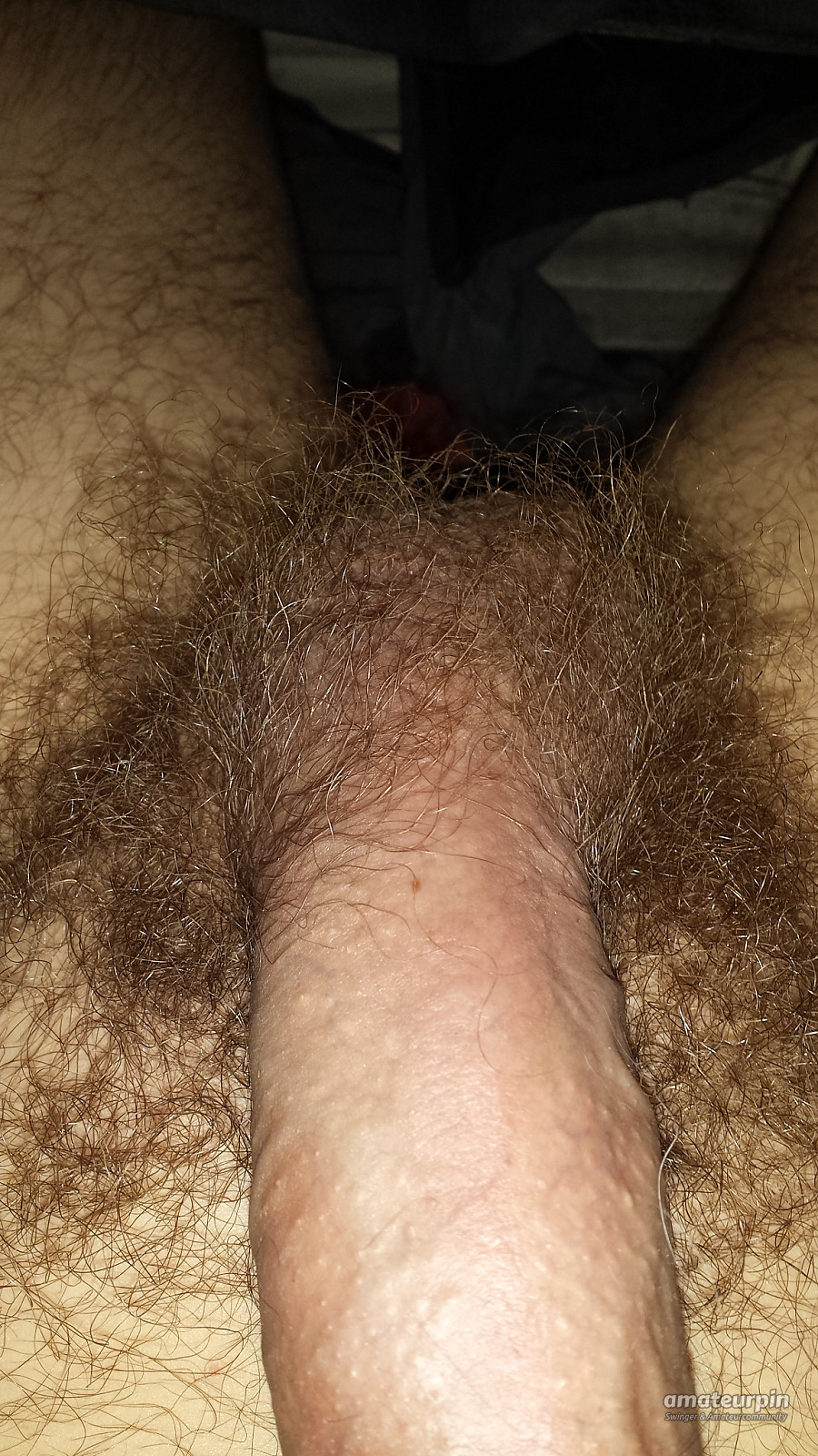 my hairy cock gallery image