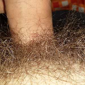 my hairy cock gallery image