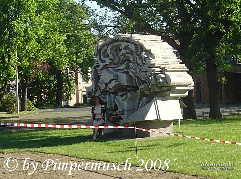 Am Rhein 2 Galeriebild