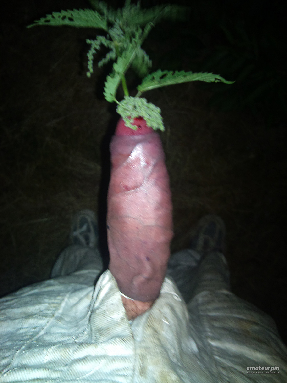 my cock gallery image