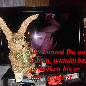 Frohe Ostern Galeriebild