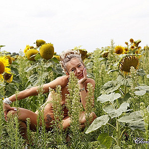 Sunflowers gallery image