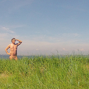 Ein Tag am Strand Galeriebild