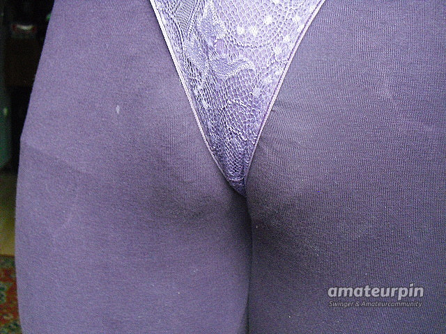 cameltoes Eier Galeriebild