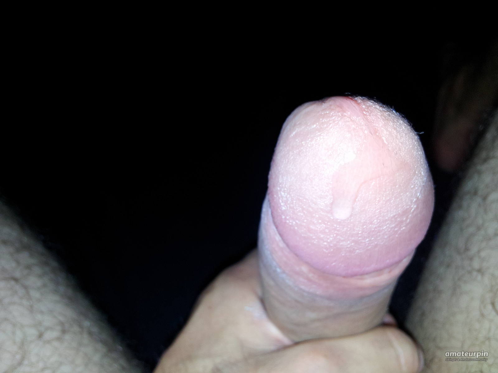 my hard cock with pleaure drips gallery image