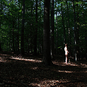 ein Männlein steht im Walde.... Galerie