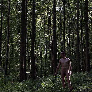 ein Männlein steht im Walde.... Galerie
