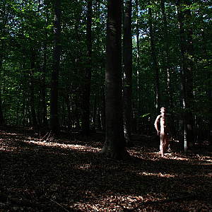 a guy in the woods gallery image