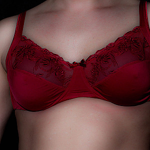 Red Dessous gallery image