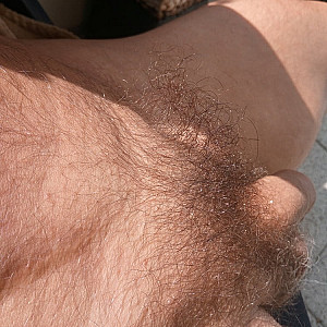 my soft hairy dick gallery image