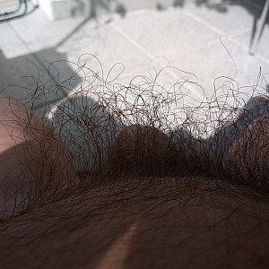 my soft hairy dick gallery image