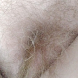 dildo in my cunt 1 gallery image