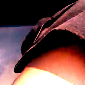 Less editing today gallery image