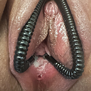 My wife's pussy - cum tributes are welcome gallery image
