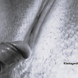 For Horny Teresa in b/w gallery image