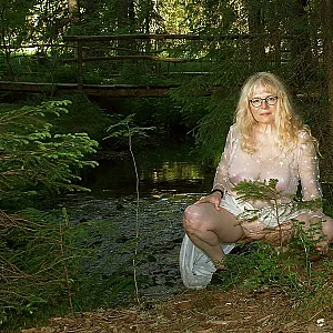 In the new contest: Forest Fairy in Late Summer gallery image