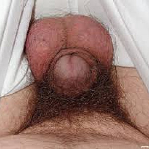 Leider mein unnützer Schwanz heute Galeriebild