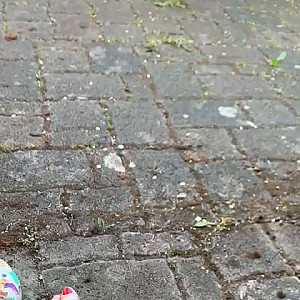 First Image Of Goldschatz59's Video - Nackte Füße am Maifeiertag