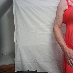 First Image Of d-w-t's Video - Ganz in Rot