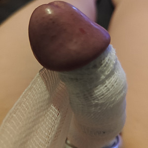 First image of ILSF's Gallery - bounded dick and balls