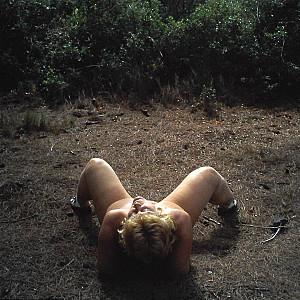 shooting in the woods gallery image