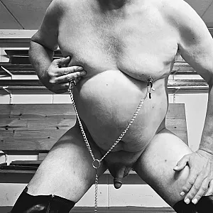 Das erste Bild von Hellerwichs's Galerie - Schwanz weiß