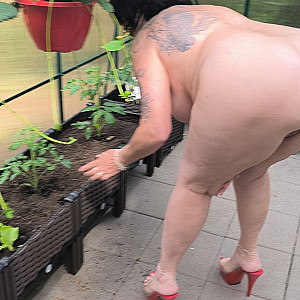 Pgirl im Glashaus Galeriebild