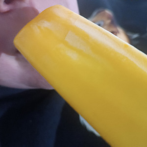Who likes to lick ? gallery image