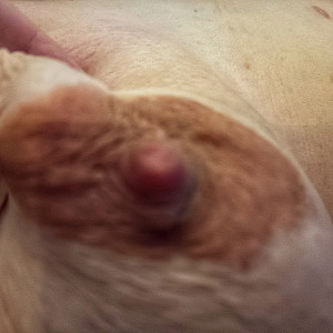 A little holiday greeting to Klausie gallery image