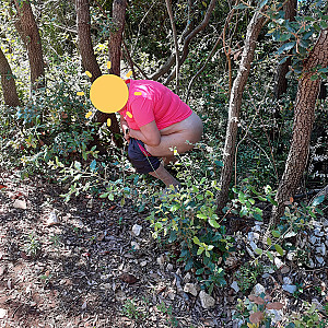 Vacation June 2024/8 gallery image