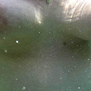 Vacation August 2024/1 gallery image