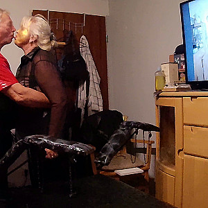 Geile Stute Galeriebild