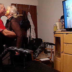 Geile Stute Galeriebild