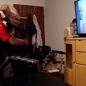 Geile Stute Galeriebild