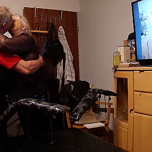 Geile Stute Galeriebild