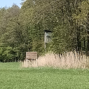 Das erste Bild von RobmannMD's Galerie - Allein auf dem Hochsitz