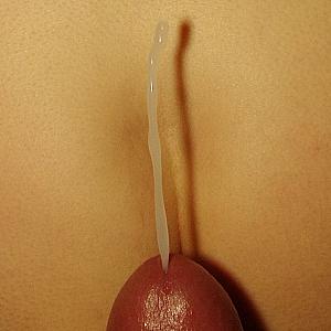 15 Bilder:Die kleine Nummer zwischendurch bis zum Schuß Galeriebild