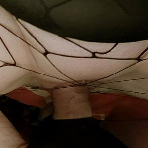 She was horny again gallery image